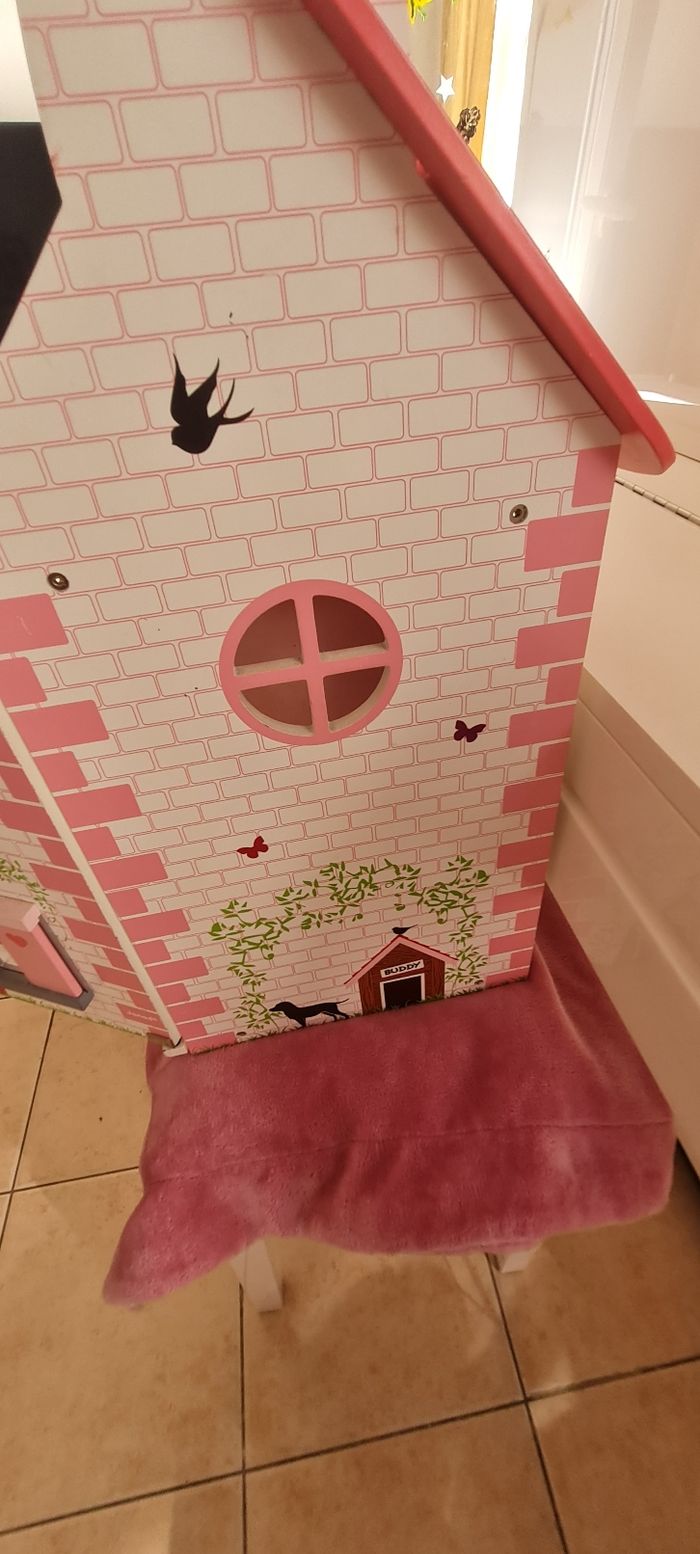 Maison bois Janod - photo numéro 4