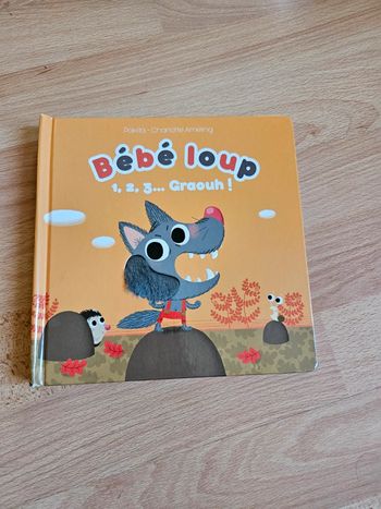 Livre à toucher
