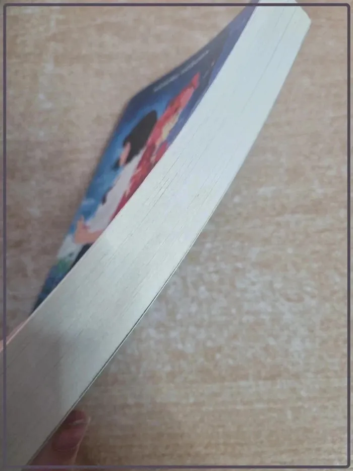 Livre Belle - photo numéro 3