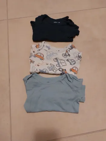 Lot 3 bodies