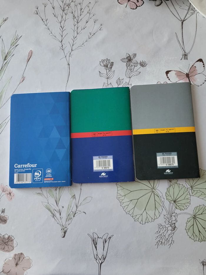 Lot de 3 petits carnets - photo numéro 2