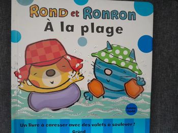 livre à toucher avec des volets à soulever - Rond et Ronron à la plage