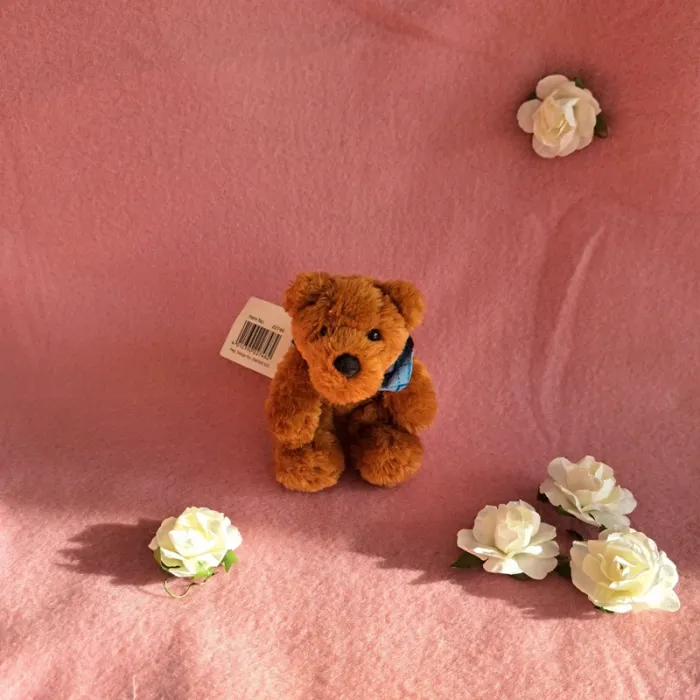 Nici chien