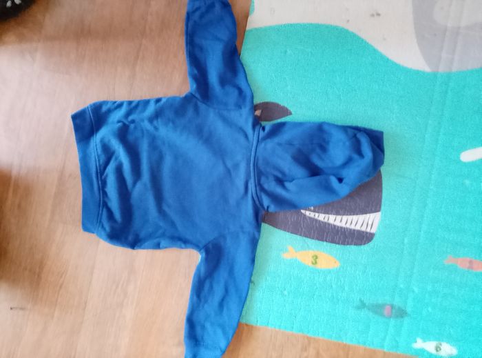 Pull à capuche garçon 3 ans - photo numéro 3