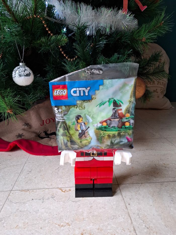 LEGO City 30665 - La rencontre avec le bébé gorille