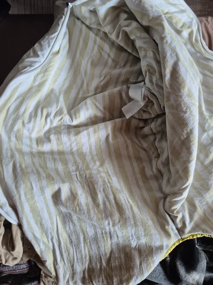 Gigoteuse - photo numéro 4