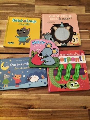 Lot livres 1 er âge