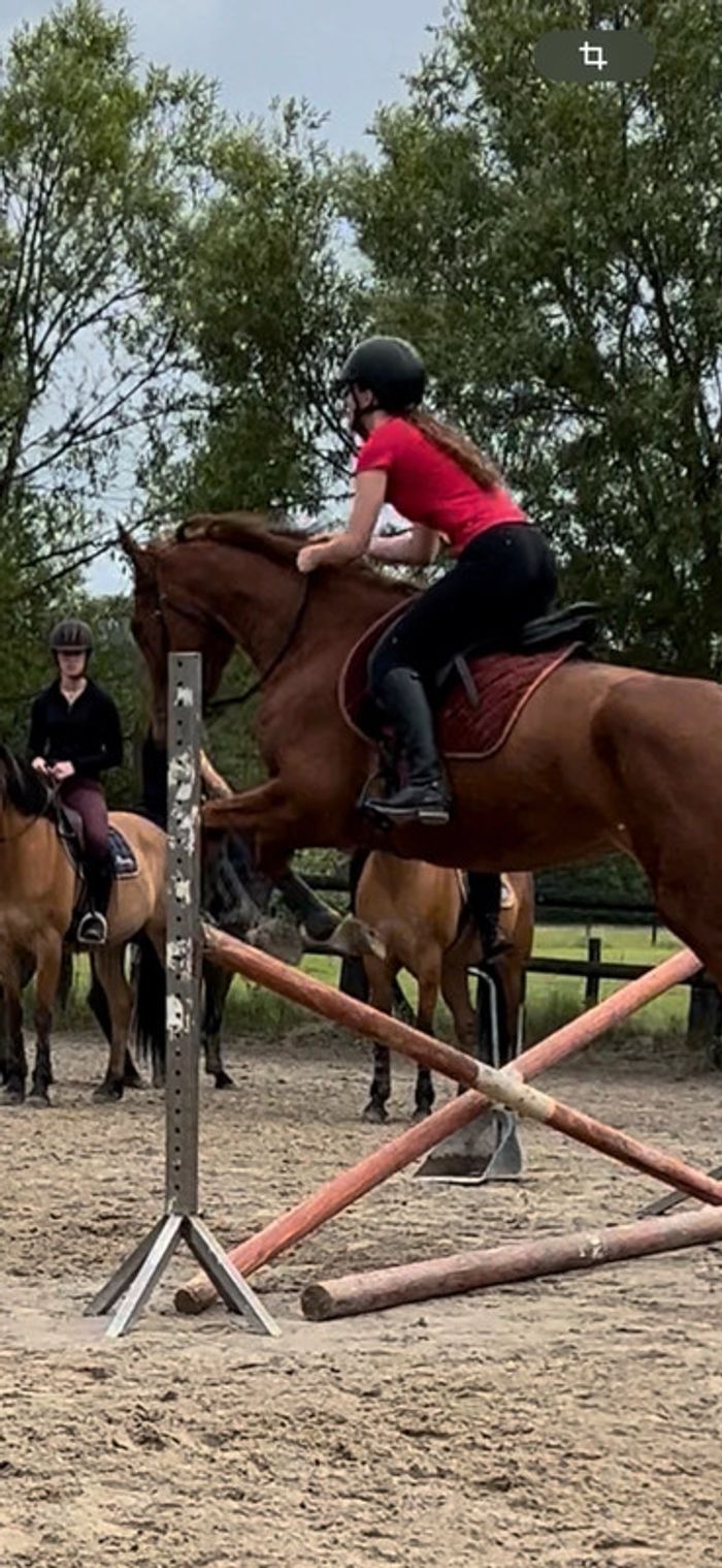 Bottes d’équitation - photo numéro 11
