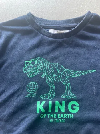 Pull dinosaures