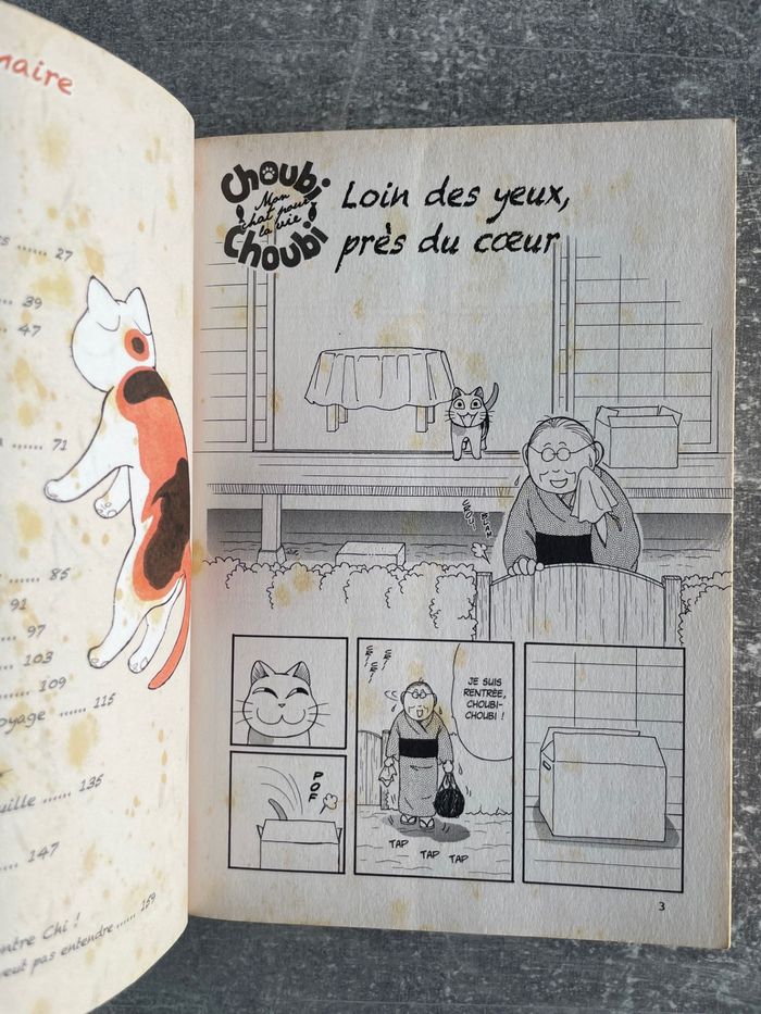 Manga Choubi choubi mon chat pour la vie tome 1 en version française. - photo numéro 4