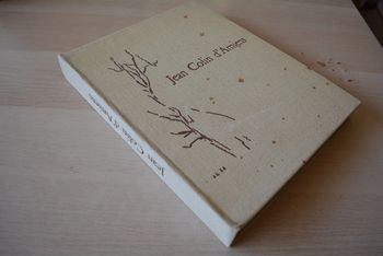 Jean Colin d' Amiens