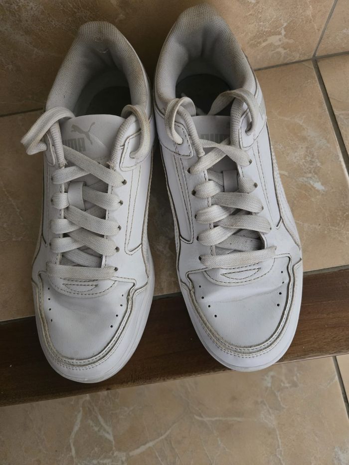 basket puma