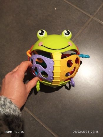 Grenouille d'activités