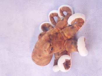 Peluche pieuvre octopus Wild republic