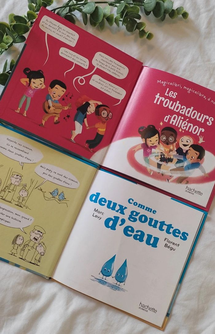 Livre Les Troubadours d'Alienor et Comme deux gouttes d'eau - photo numéro 2