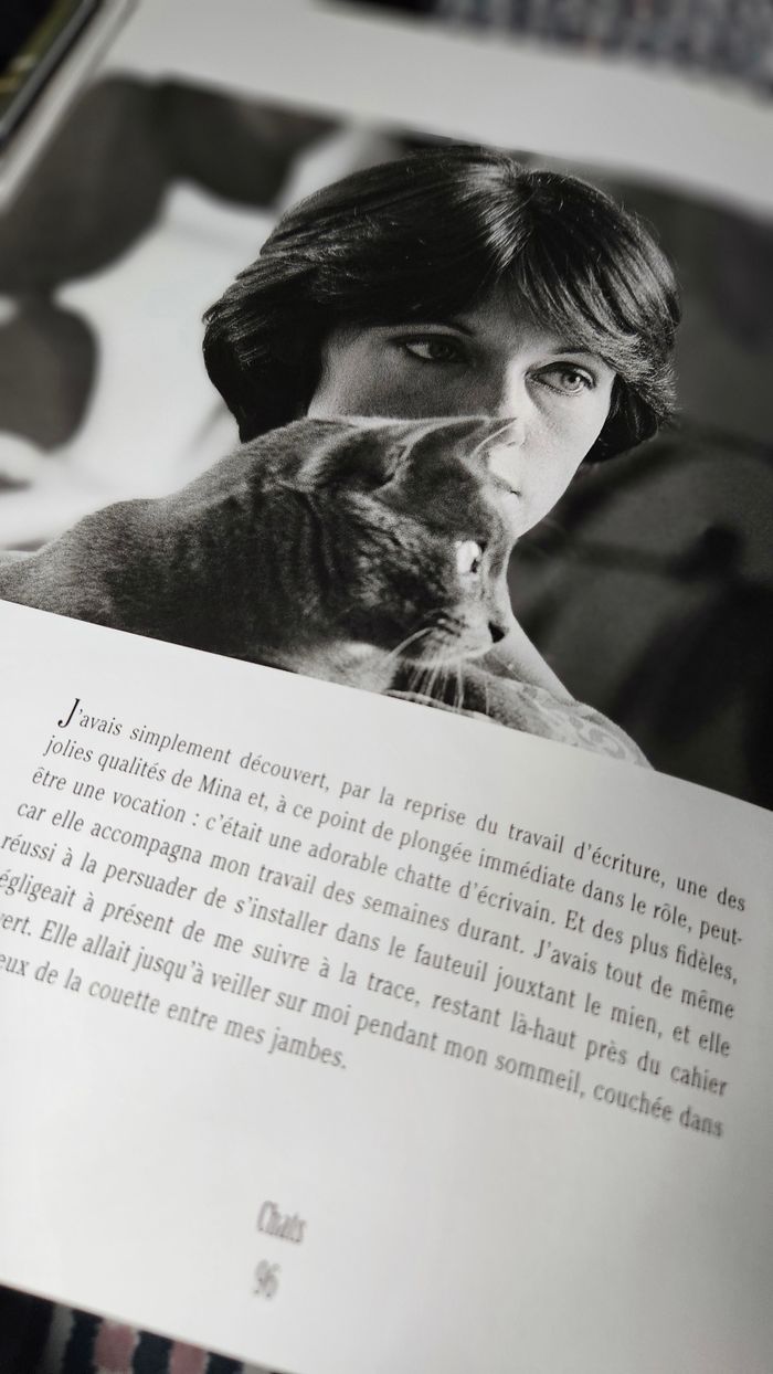 Chats - Anny Duperey - photo numéro 3