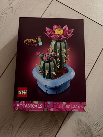 Lego cactus