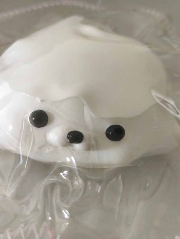 Squishy phoque - photo numéro 2