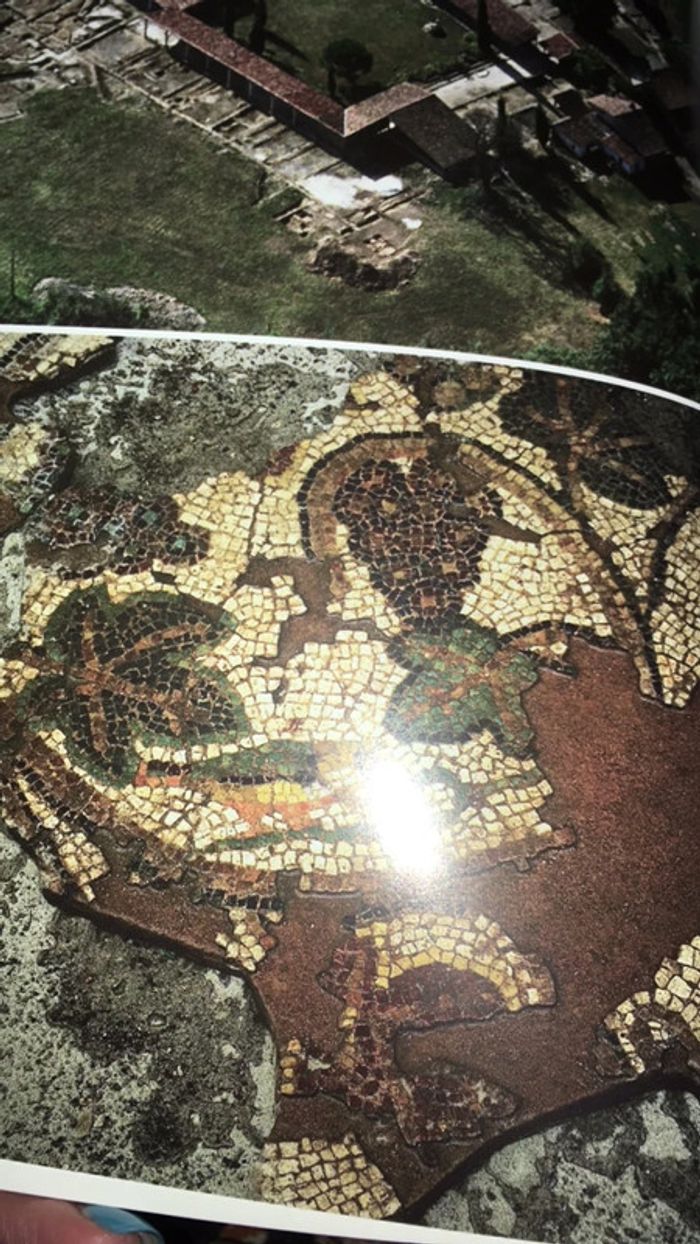 Visiter l villa seviac - photo numéro 3