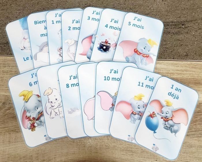 14 cartes étape - photo numéro 2