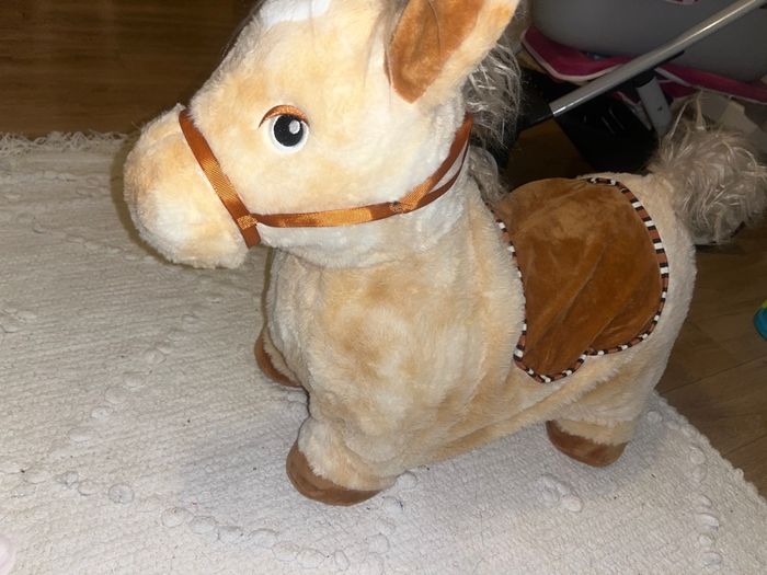 Cheval qui rebondit - photo numéro 2