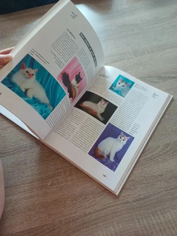 Livre " les chats , ces compagnons de jeu aux pattes de velours " - photo numéro 11