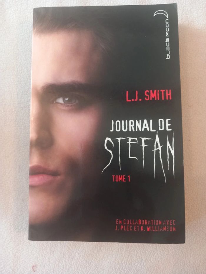 Livre journal de Stéphan tome 1
