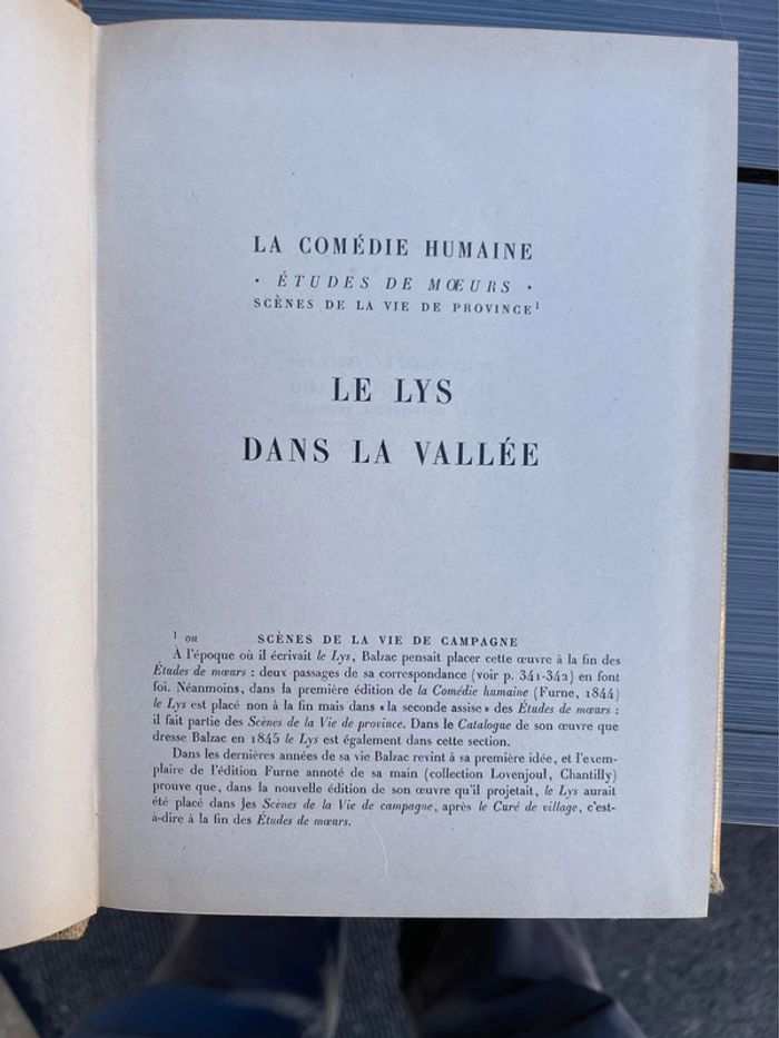 Le lys dans la vallée - photo numéro 2