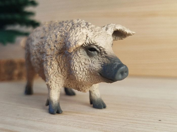 Collecta Cochon Figurine animal de la ferme - photo numéro 2