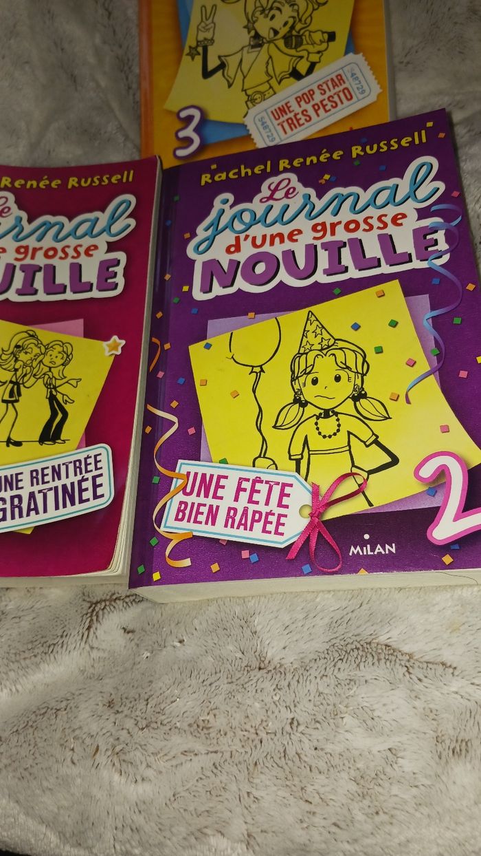 3 livres. Le journal d'une grosse nouille. - photo numéro 3
