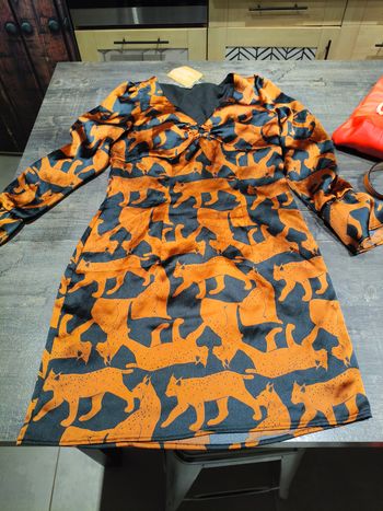 Très belle robe neuve