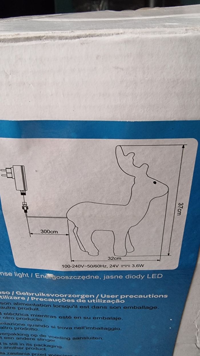 RENNE LUMINEUX - photo numéro 3