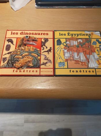 Lot 2 livres documentaires