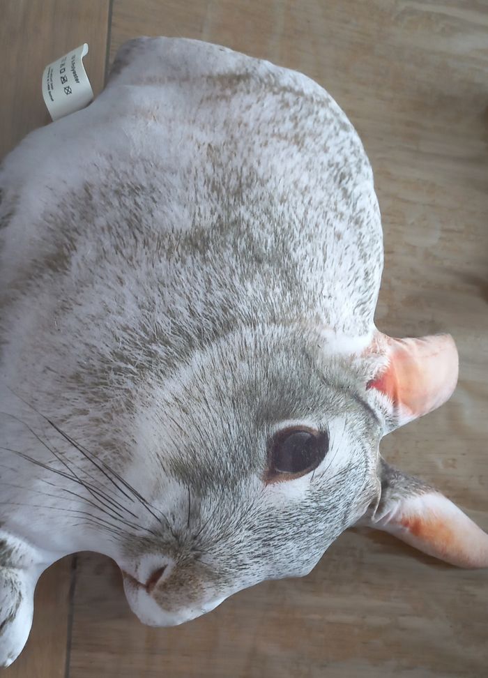 Coussin lapin