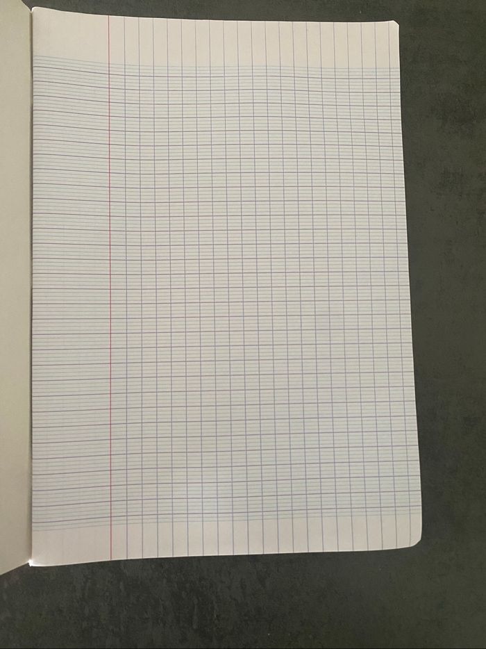 cahier 21*29 grands carreaux - photo numéro 3