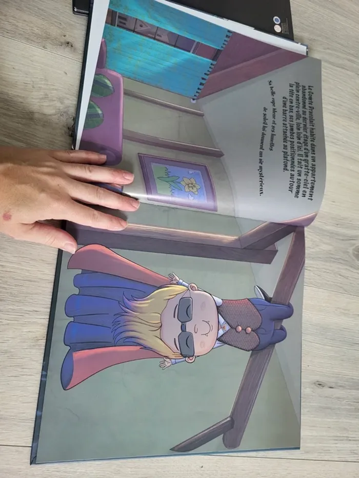 Lot de quatre grands livres - photo numéro 4