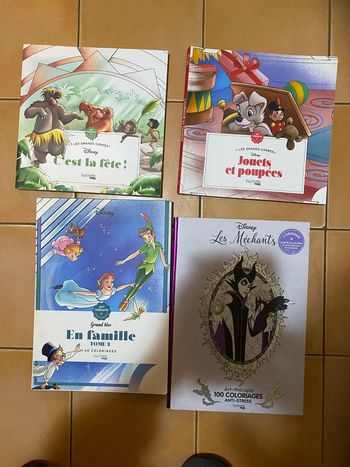 Lot de livres de coloriage