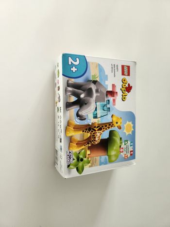 Lego duplo afrique n°10971