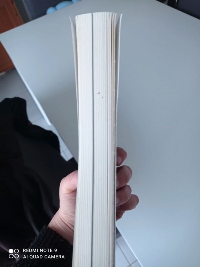 13 raisons why - photo numéro 3