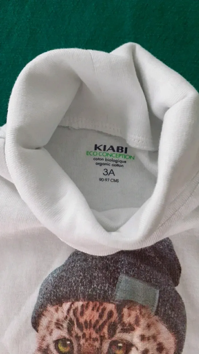 Sous pull - photo numéro 3