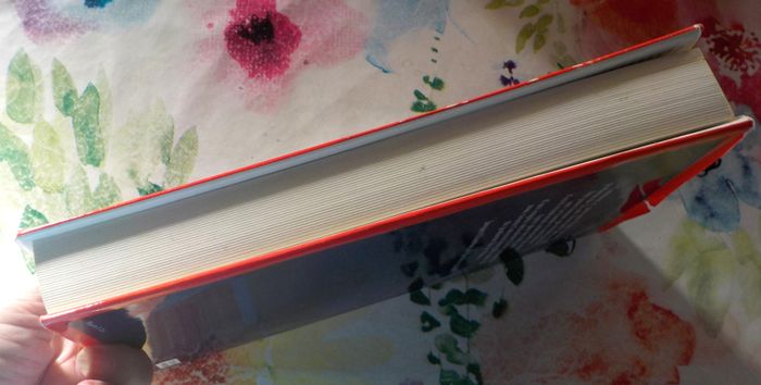 UN ASSASSIN AU-DESSUS DE TOUT SOUPCON par Yvan STEFANOVITCH Ed. France Loisirs - photo numéro 6