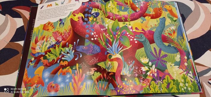 Livre cherche et trouve " merveilleux dinosaures" - photo numéro 3