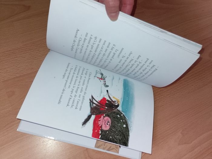 Livre chien pourri fait du ski
- photo numéro 9