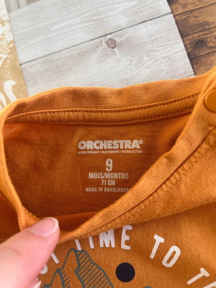 Teeshirt manches longues 9 mois - photo numéro 3