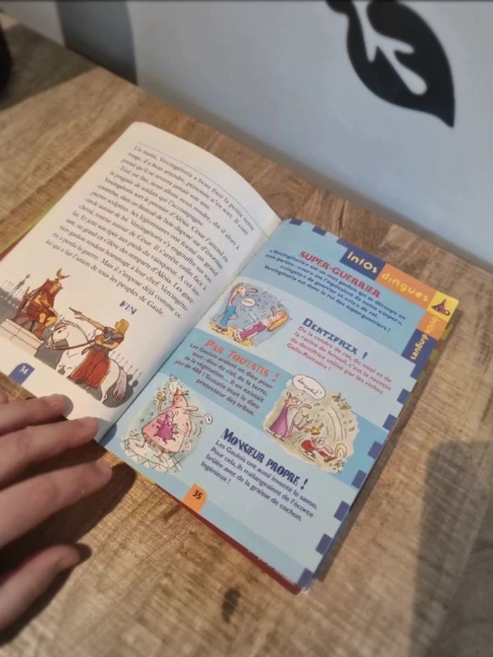 Histoires vraies erasme vercingetorix - photo numéro 4