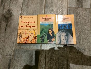 Lot livres daniel steel