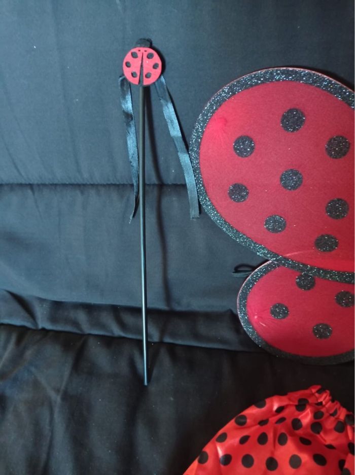 Déguisement coccinelle papillon 3-6ans - photo numéro 3