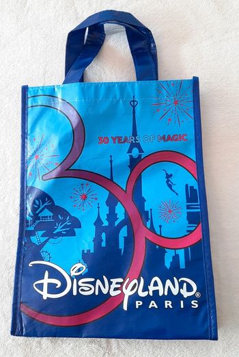 Sac Disney 30 Ans