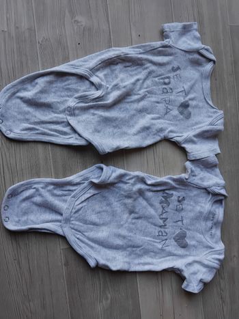 Lot 2 bodies