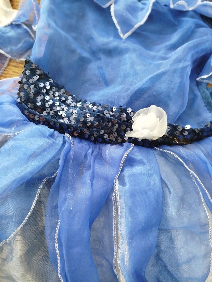 Déguisement la Fée Clochette - photo numéro 4